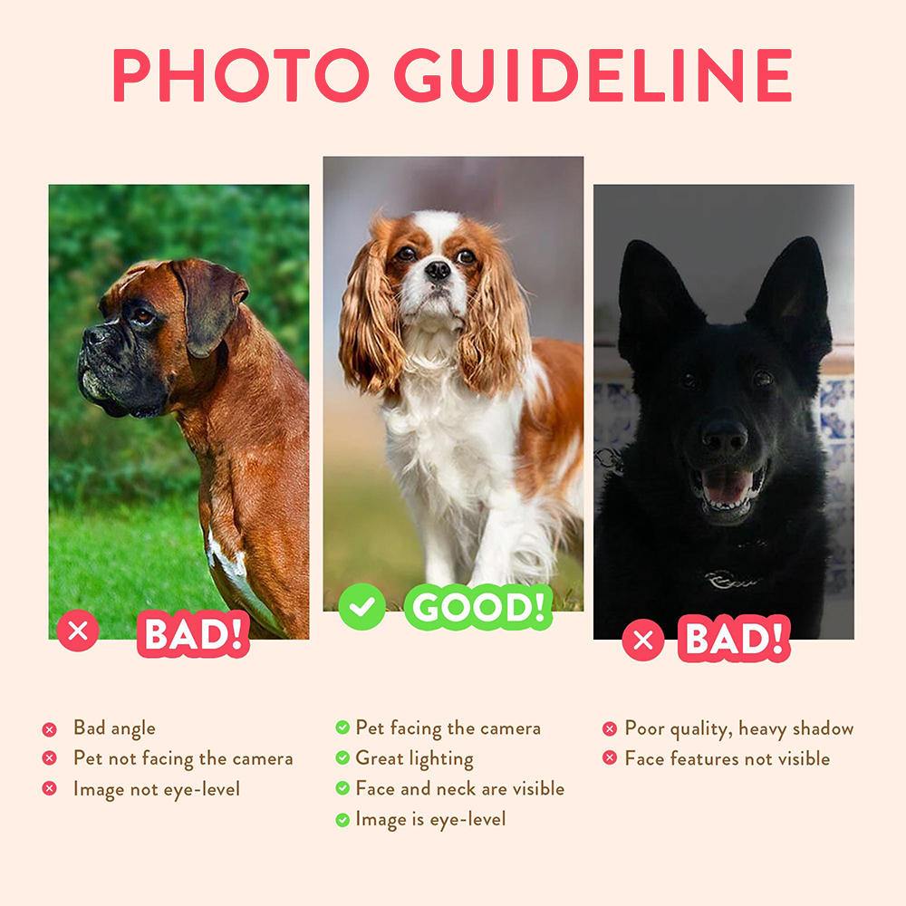 Personalized Pet Portraits Pho - Photography Object 评论和价格