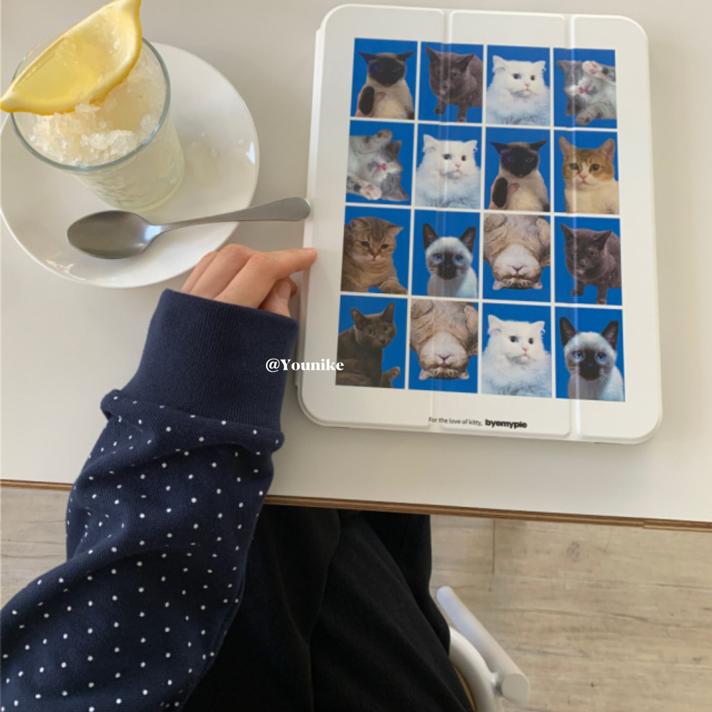 Korean Ins Cat Head Photo Full - Photography Grid 评论和价格