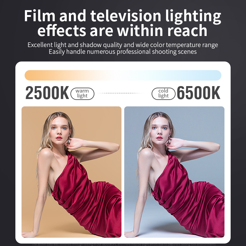 Bi-Color Camera Light 80W COB  - Strobe Light Studio 评论和价格