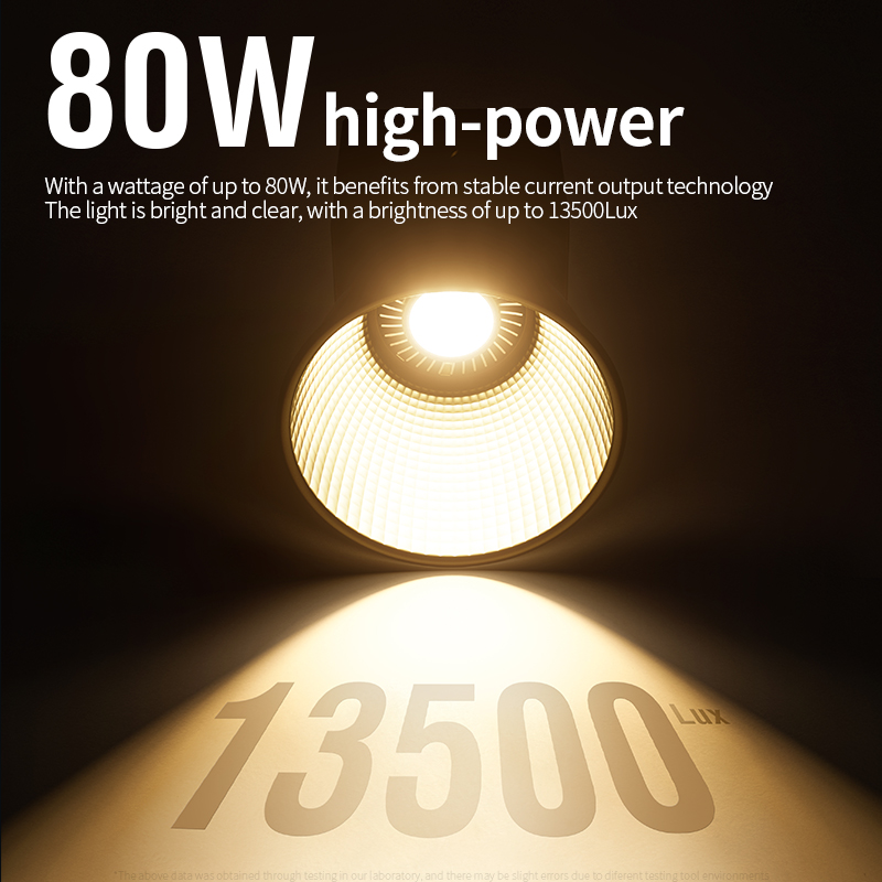 Bi-Color Camera Light 80W COB  - Strobe Light Studio 评论和价格