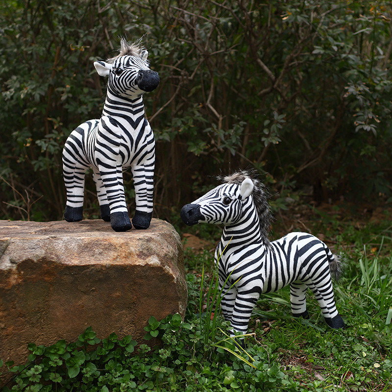 White Pelican Creative Zebra S - Photography Zebra 评论和价格