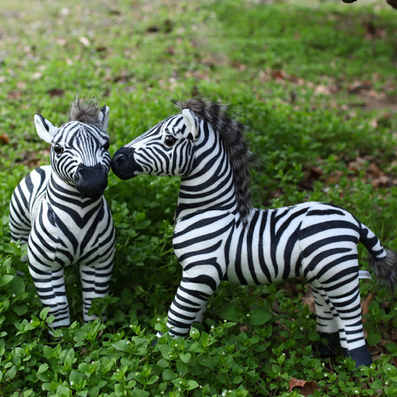 White Pelican Creative Zebra S - Photography Zebra 评论和价格